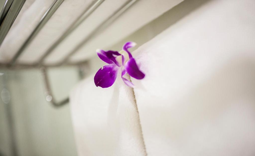 White Snow Hotel Da Nang Ruang foto